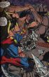 Superman 6 (Doomsday fight)